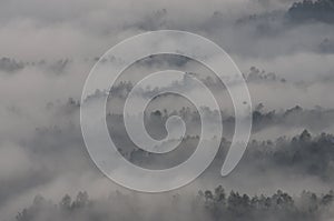 Himalayan ranges as seen in the morning at Kausani, India photo